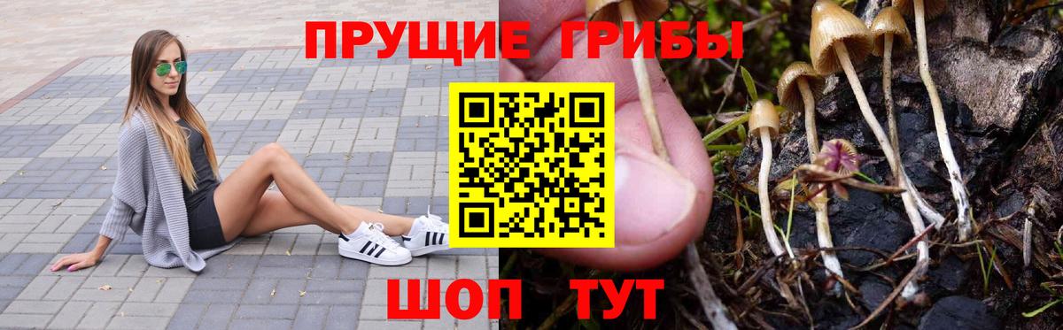 Галлюциногенные грибы Cubensis  Псилоцибиновые грибы Psilocybe  Калуга  Вход с VPN 