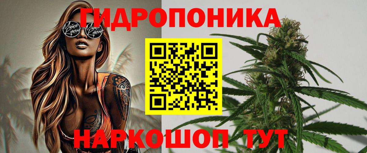 Канабис планчик  Шишки марихуана семена  Калуга  Вход с VPN  Марихуана THC 21%  Шишки марихуана план 
